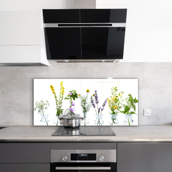 Splashback for kitchen walls Natural herbs health