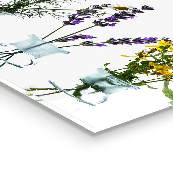 Splashback for kitchen walls Natural herbs health