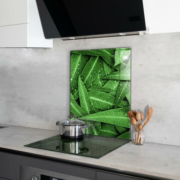 Splashback for kitchen walls Green leaves after rain