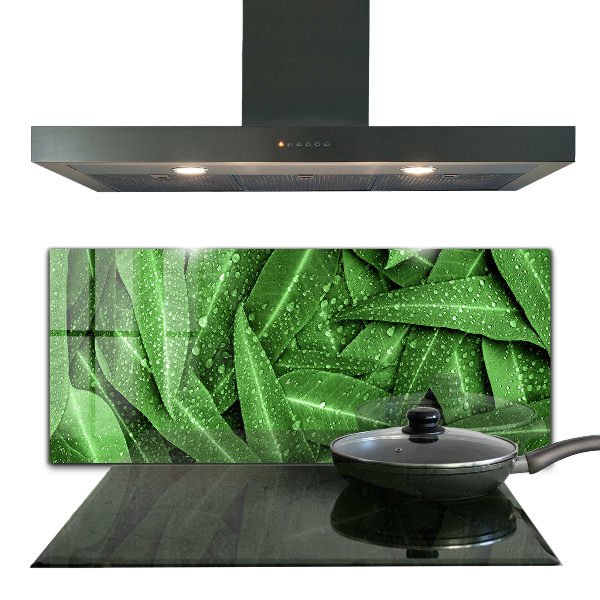 Splashback for kitchen walls Green leaves after rain