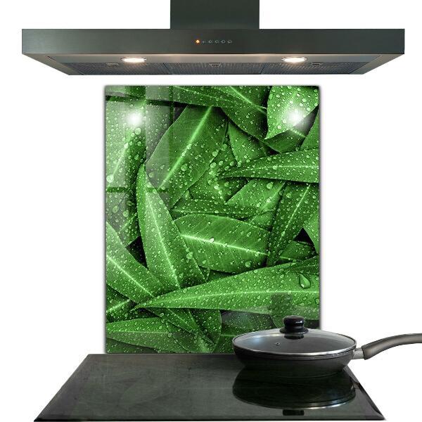 Splashback for kitchen walls Green leaves after rain
