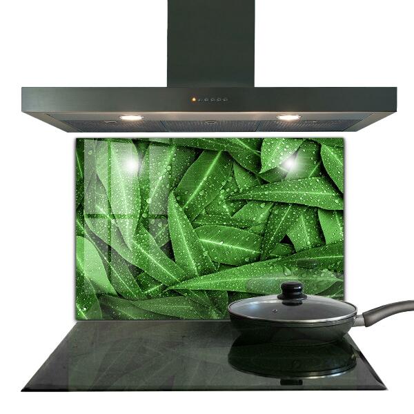 Splashback for kitchen walls Green leaves after rain