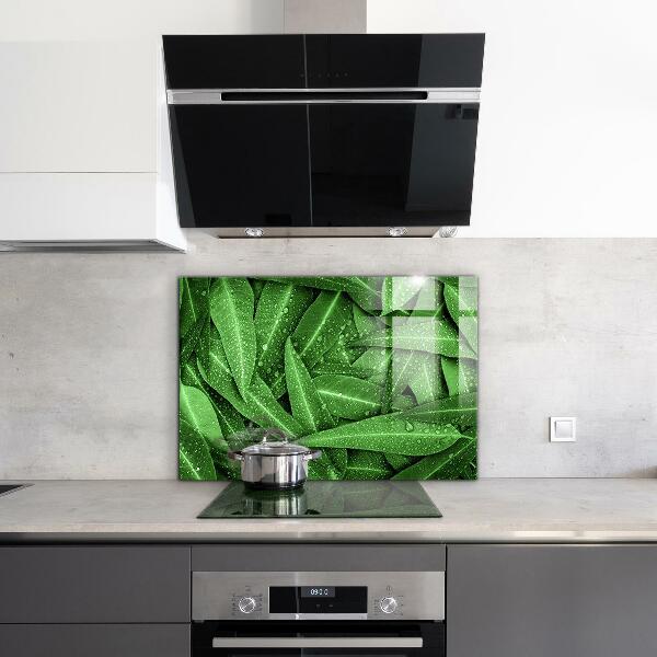 Splashback for kitchen walls Green leaves after rain