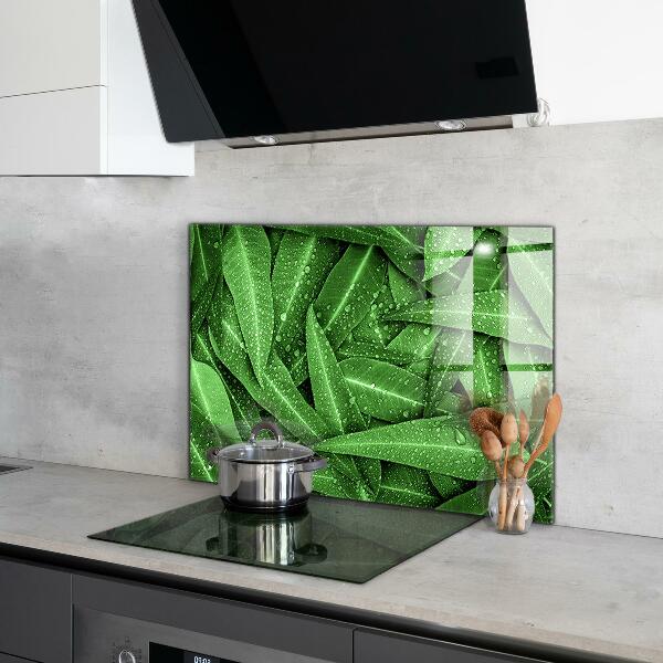 Splashback for kitchen walls Green leaves after rain