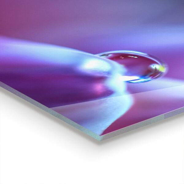 Splashback for kitchen walls Dew drops purple flower