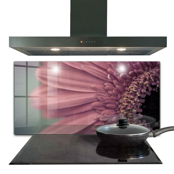 Splashback for kitchen walls Flower margaretka gerbera