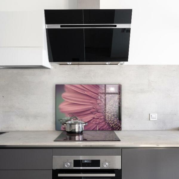 Splashback for kitchen walls Flower margaretka gerbera