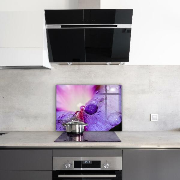 Splashback for kitchen walls Purple flower with morning dew