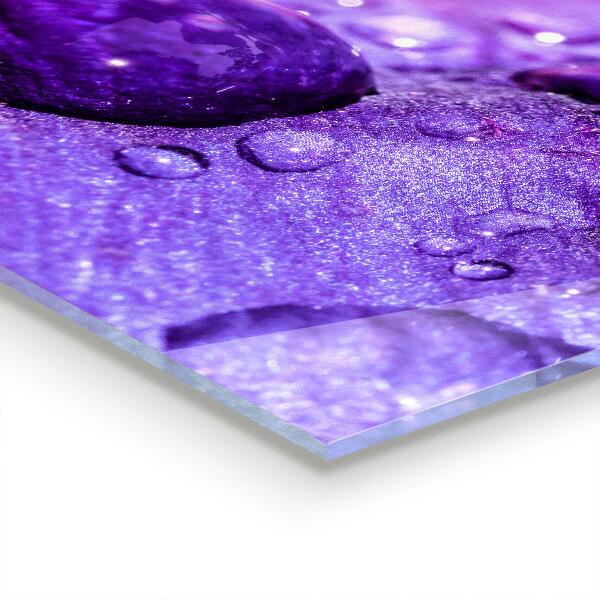Splashback for kitchen walls Purple flower with morning dew
