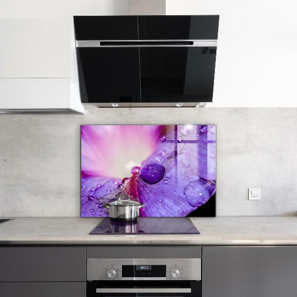 Splashback for kitchen walls Purple flower with morning dew