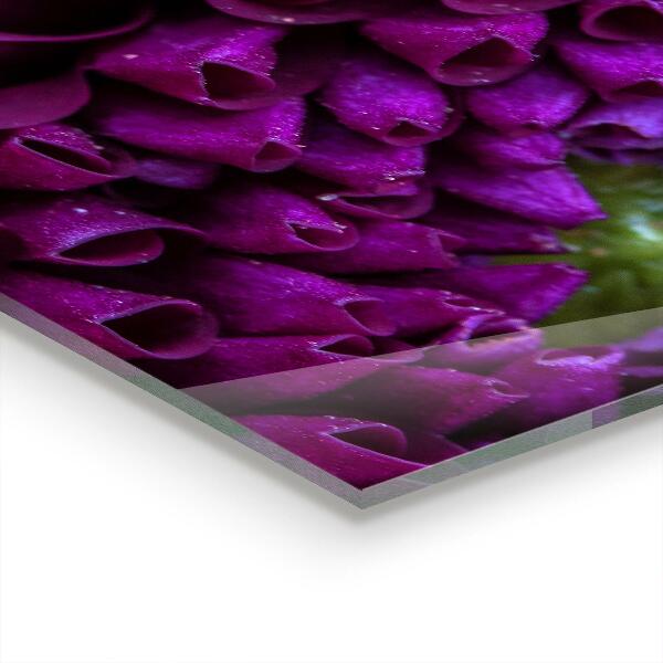 Splashback for kitchen walls Purple flower details