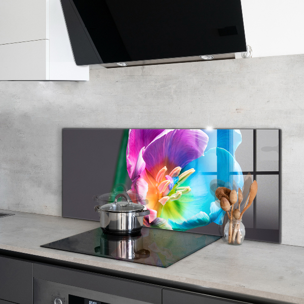 Kitchen splashback Colorful rainbow flower