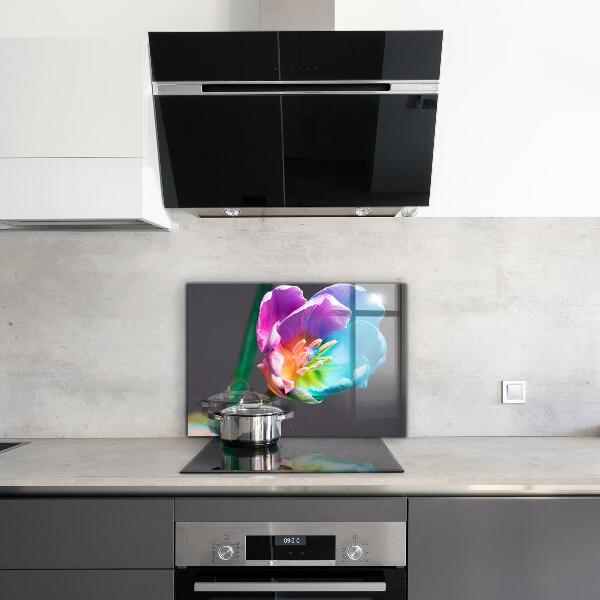 Kitchen splashback Colorful rainbow flower