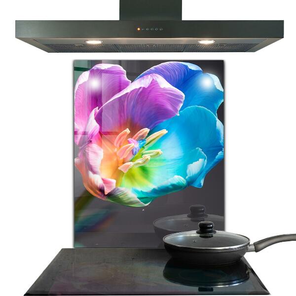 Kitchen splashback Colorful rainbow flower