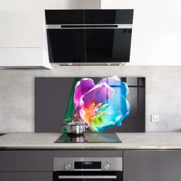 Kitchen splashback Colorful rainbow flower