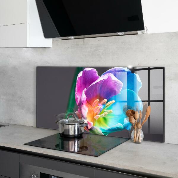 Kitchen splashback Colorful rainbow flower