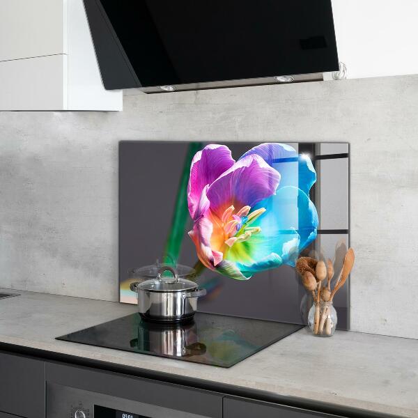Kitchen splashback Colorful rainbow flower