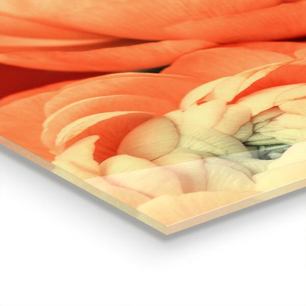 Kitchen splashback Orange buttercup flower