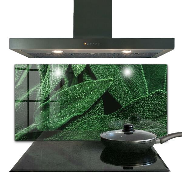 Kitchen splashback Green leaves after rain