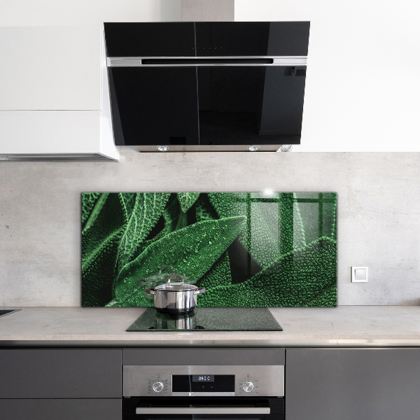 Kitchen splashback Green leaves after rain