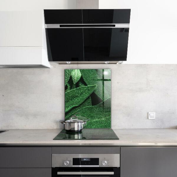 Kitchen splashback Green leaves after rain