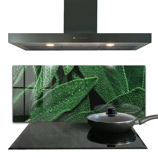 Kitchen splashback Green leaves after rain