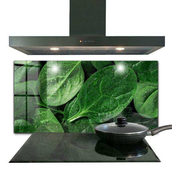 Kitchen splashback Spinach leaves health