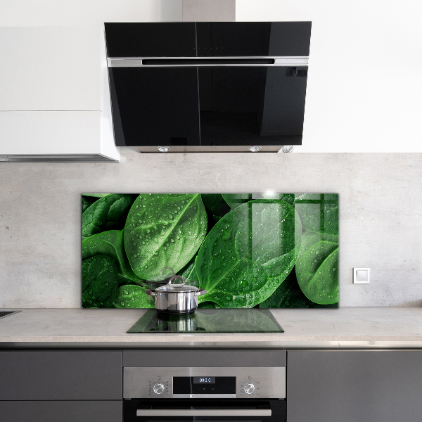 Kitchen splashback Spinach leaves health