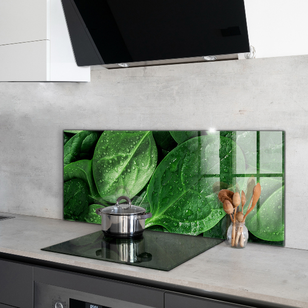 Kitchen splashback Spinach leaves health