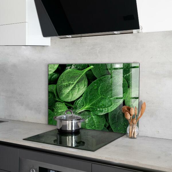Kitchen splashback Spinach leaves health