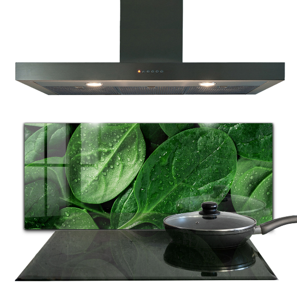 Kitchen splashback Spinach leaves health