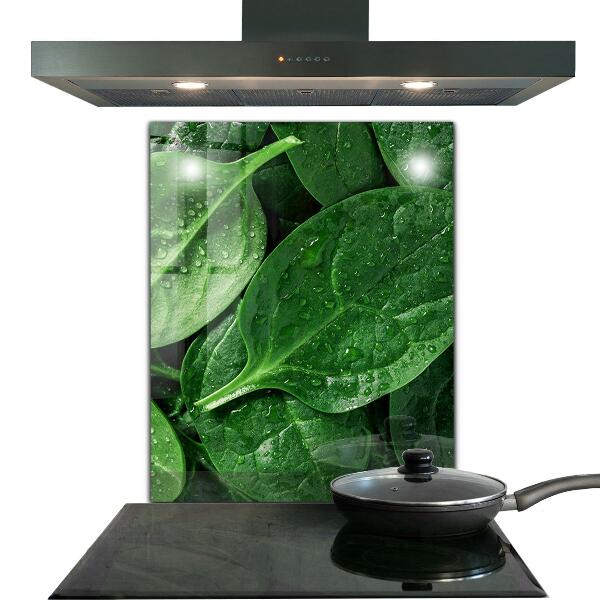 Kitchen splashback Spinach leaves health