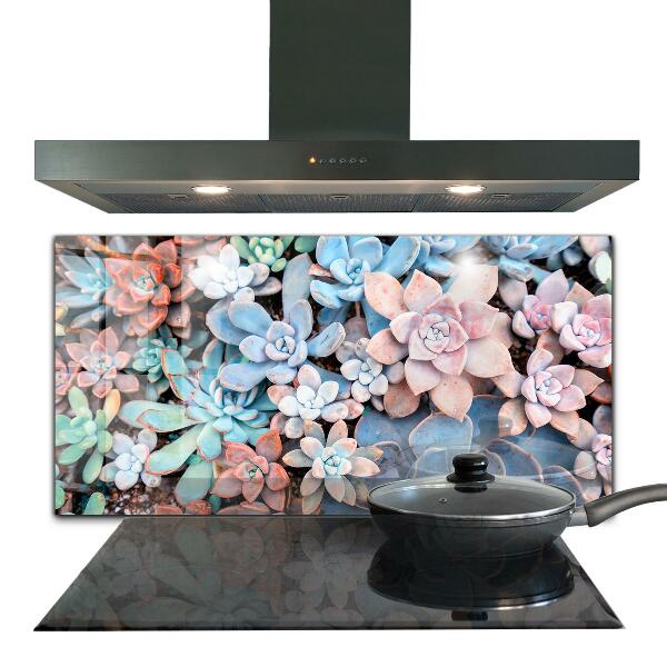 Kitchen splashback Colorful succulents