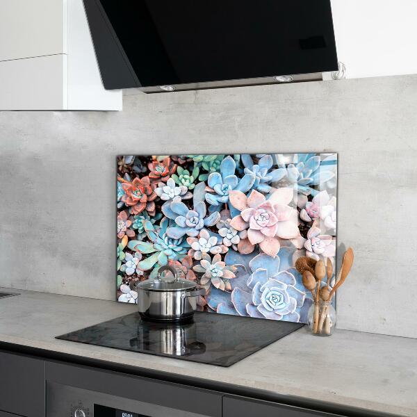 Kitchen splashback Colorful succulents