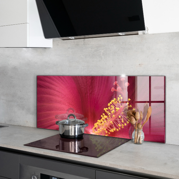 Kitchen splashback Pink hibiscus