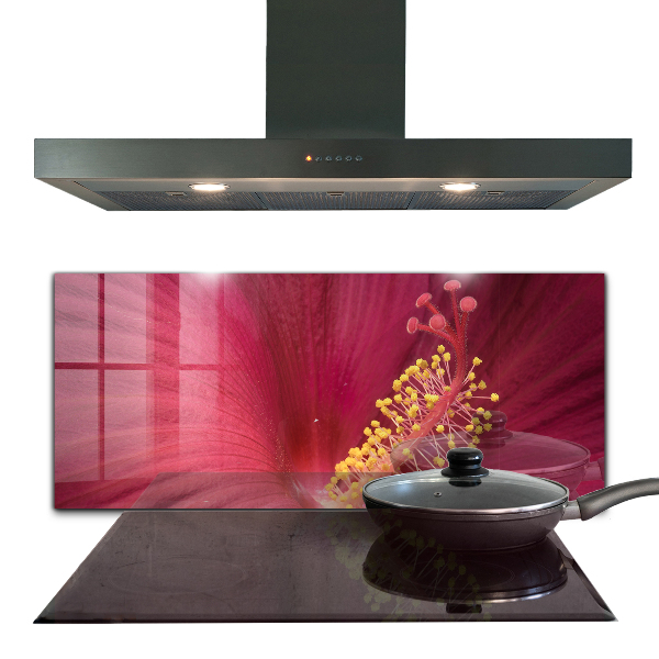 Kitchen splashback Pink hibiscus