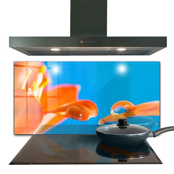 Kitchen splashback Orange flower