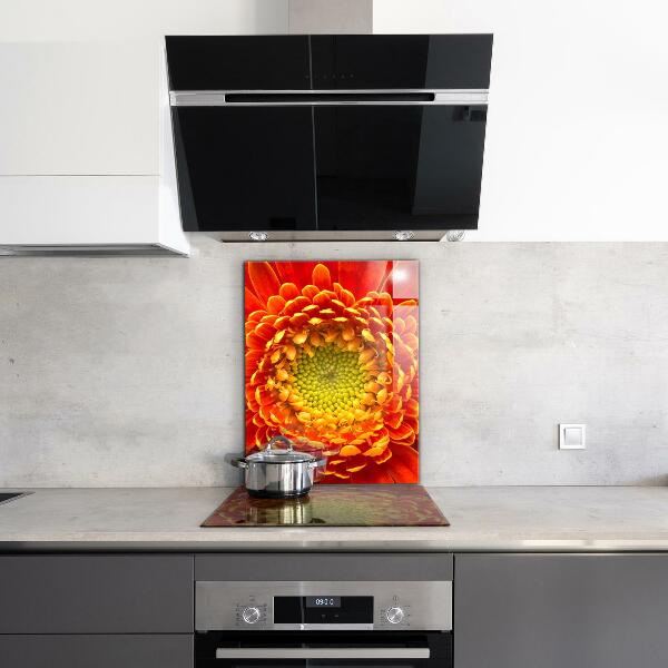 Kitchen splashback Orange gerbera flower