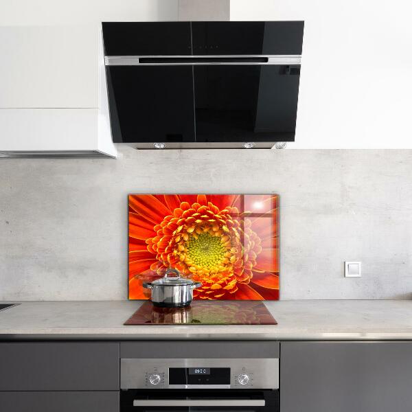 Kitchen splashback Orange gerbera flower