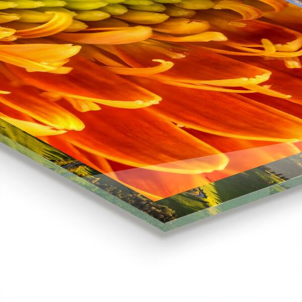 Kitchen splashback Gerbera flower orange