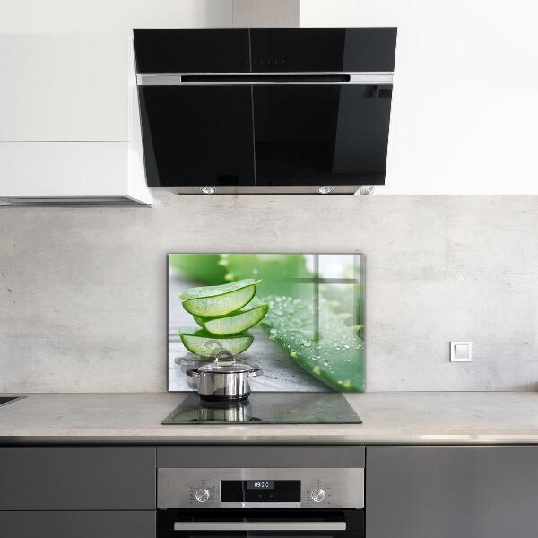 Kitchen splashback Aloe aloe vera plant