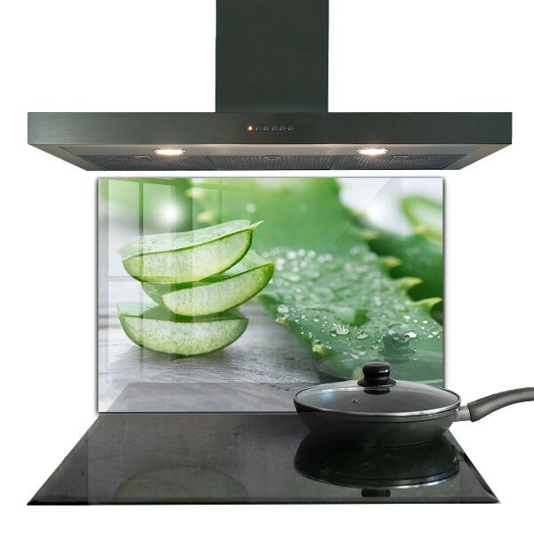 Kitchen splashback Aloe aloe vera plant