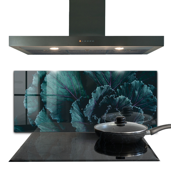 Kitchen splashback Cabbage leaves dark green
