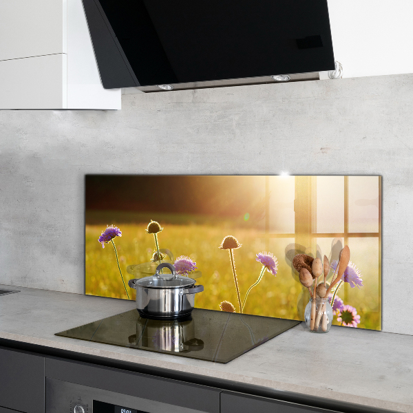 Kitchen splashback Summer flowering meadow
