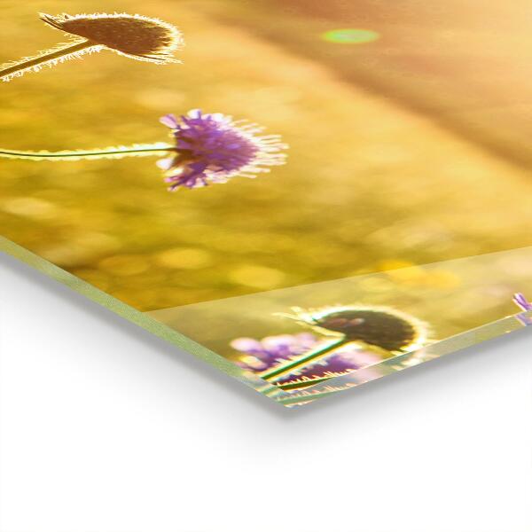 Kitchen splashback Summer flowering meadow