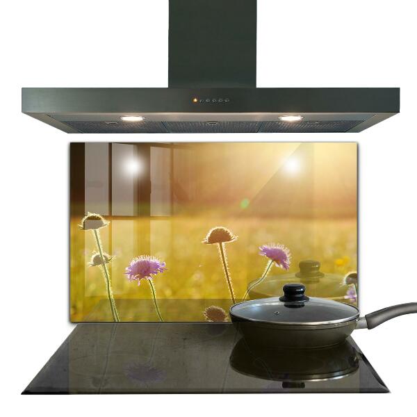 Kitchen splashback Summer flowering meadow