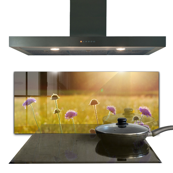 Kitchen splashback Summer flowering meadow