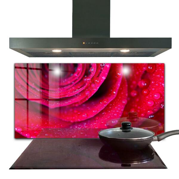 Kitchen splashback Rose symbol of love