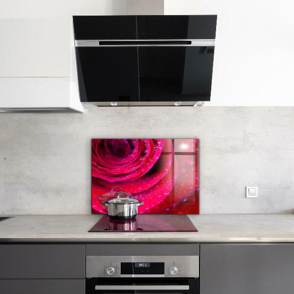 Kitchen splashback Rose symbol of love