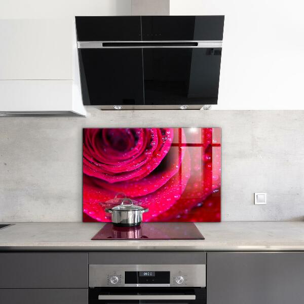 Kitchen splashback Rose symbol of love